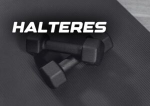 Halteres