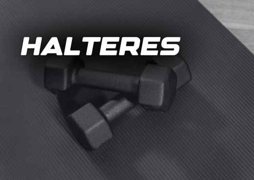 Halteres